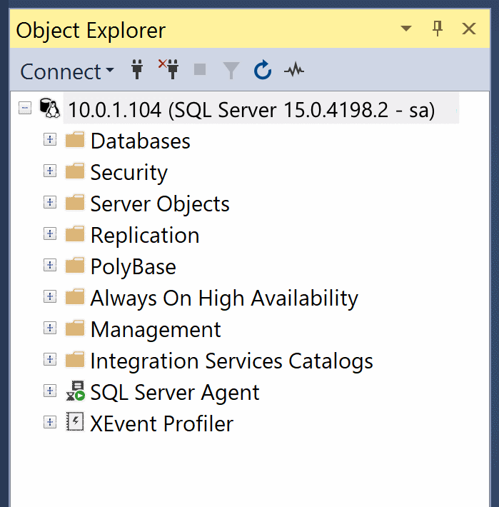 Screenshot che mostra Esplora Oggetti connesso all'istanza di database.