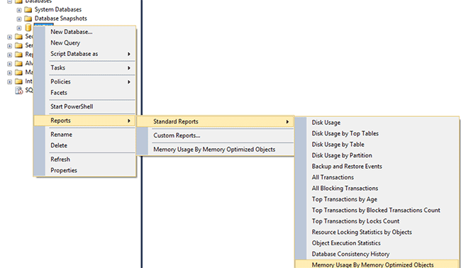 Screenshot che mostra Esplora oggetti con le opzioni Report > Report standard> Utilizzo memoria da parte di oggetti con ottimizzazione per la memoria.